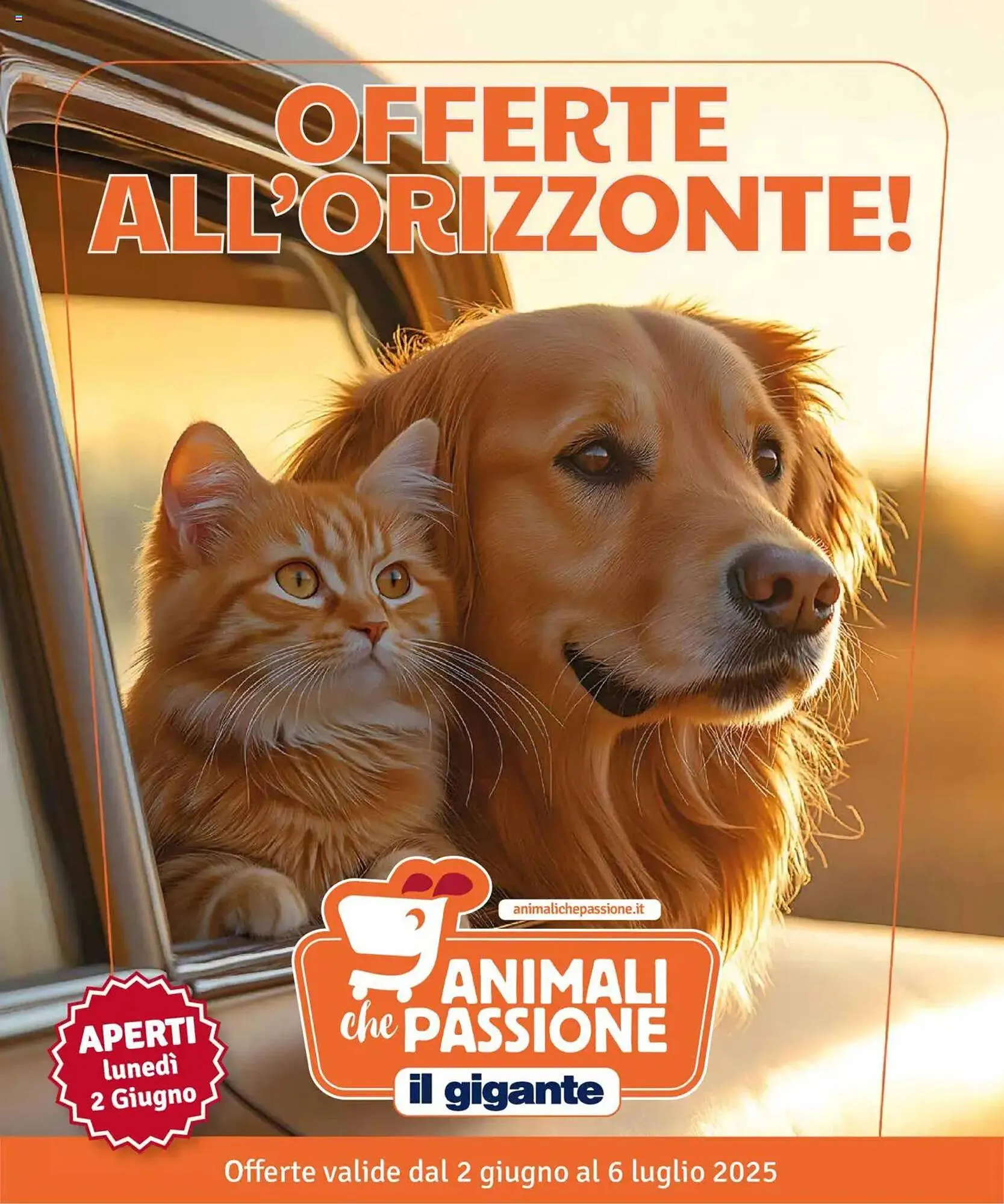 Volantino Il Gigante da 2 giugno a 6 luglio di 2025 - Pagina del volantino 1