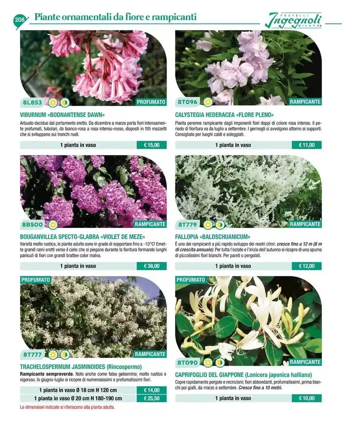 Catalogo guida 2025 da 20 gennaio a 31 dicembre di 2025 - Pagina del volantino 210