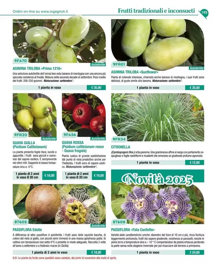 Catalogo guida 2025 da 20 gennaio a 31 dicembre di 2025 - Pagina del volantino 197