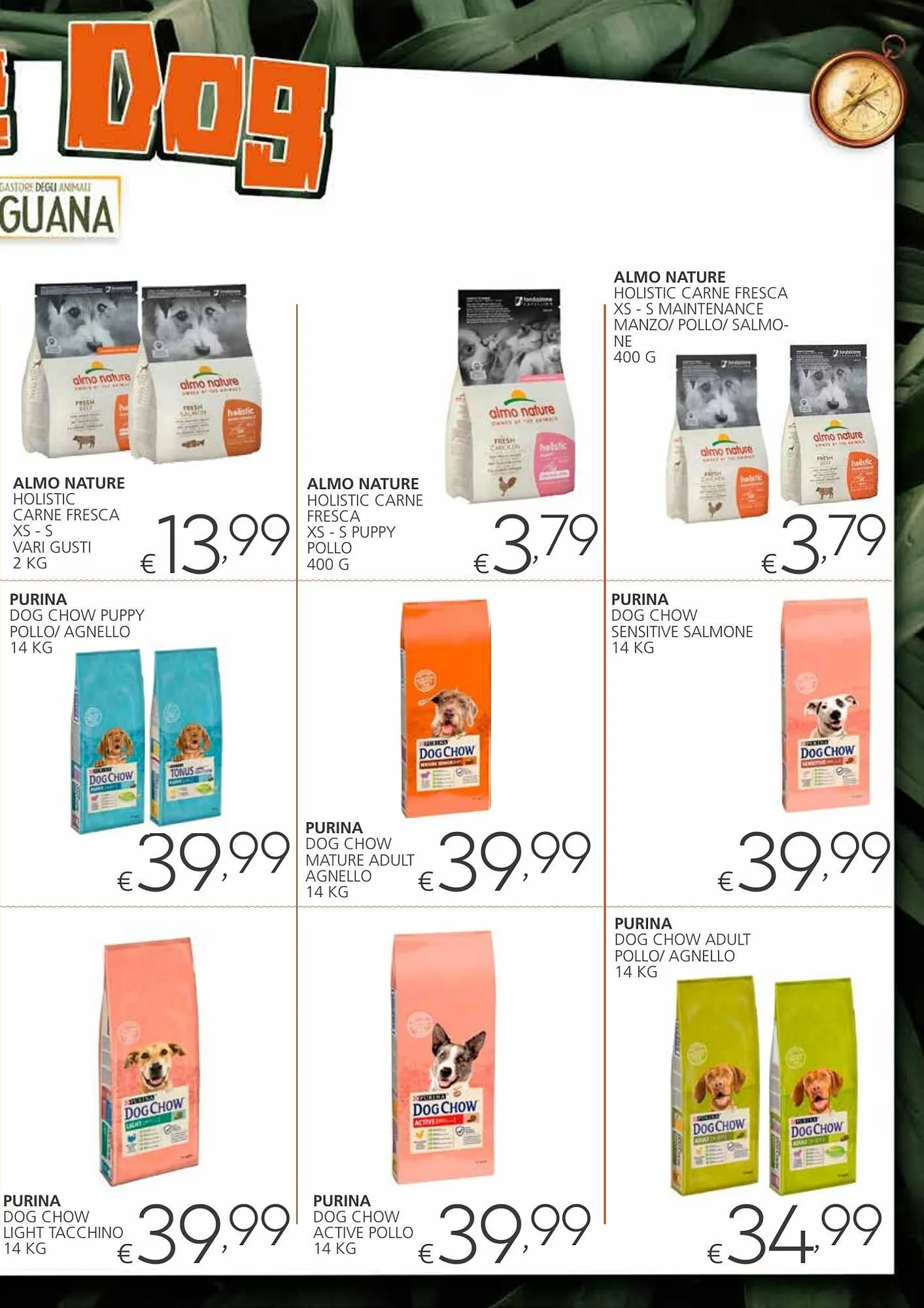 Volantino Zoomiguana da 7 dicembre a 7 gennaio di 2024 - Pagina del volantino 11