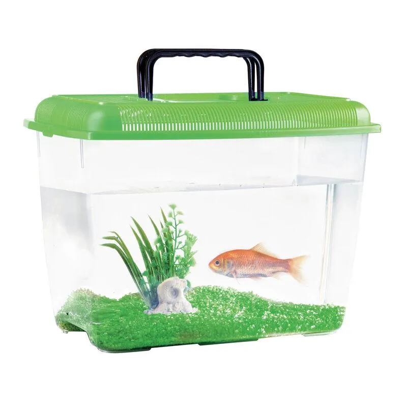 Imac Vaschetta Ariel Large