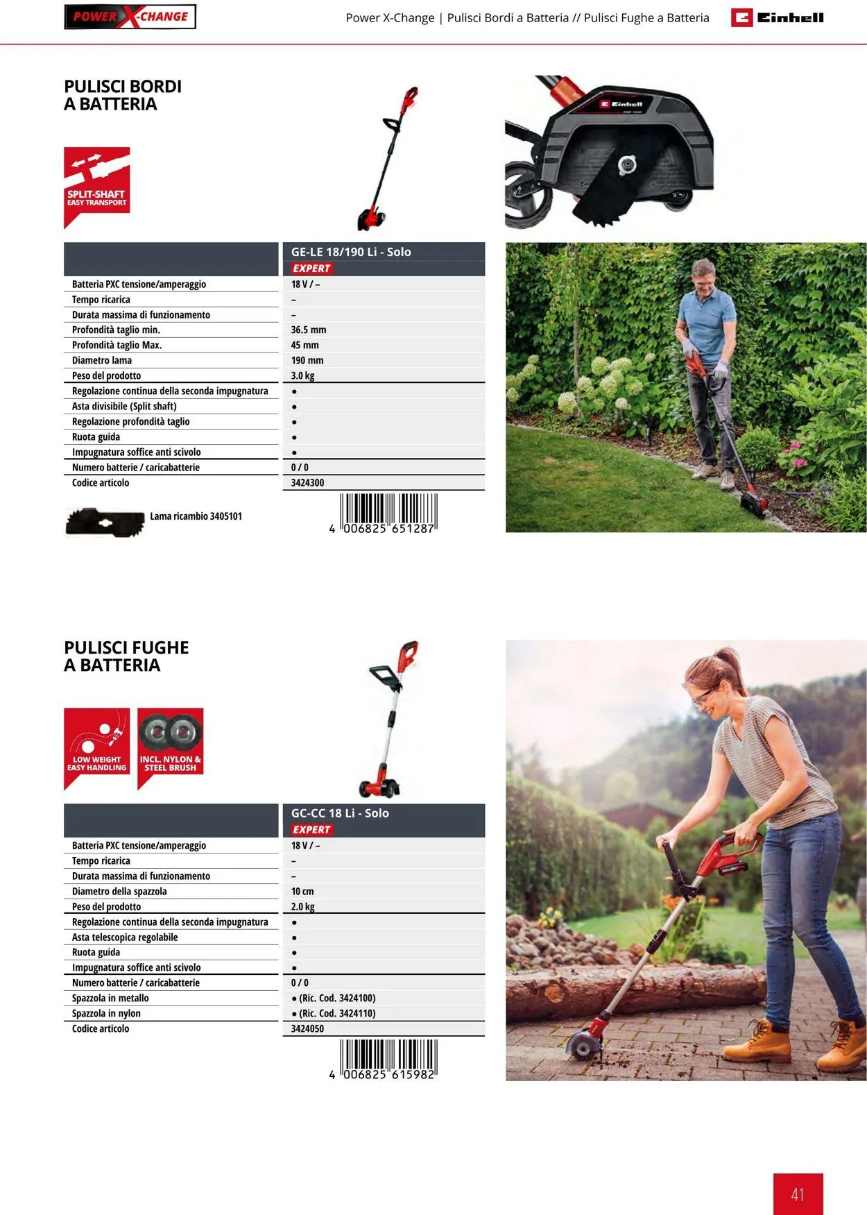Einhell da 17 giugno a 17 settembre di 2025 - Pagina del volantino 41