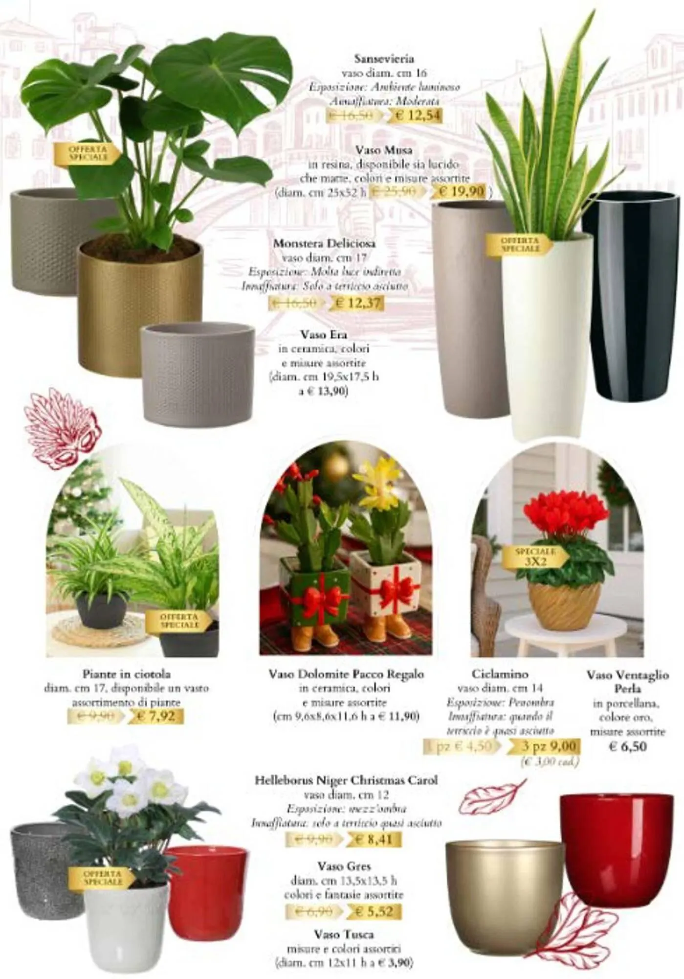 Volantino Giardineria da 6 novembre a 31 dicembre di 2025 - Pagina del volantino 17