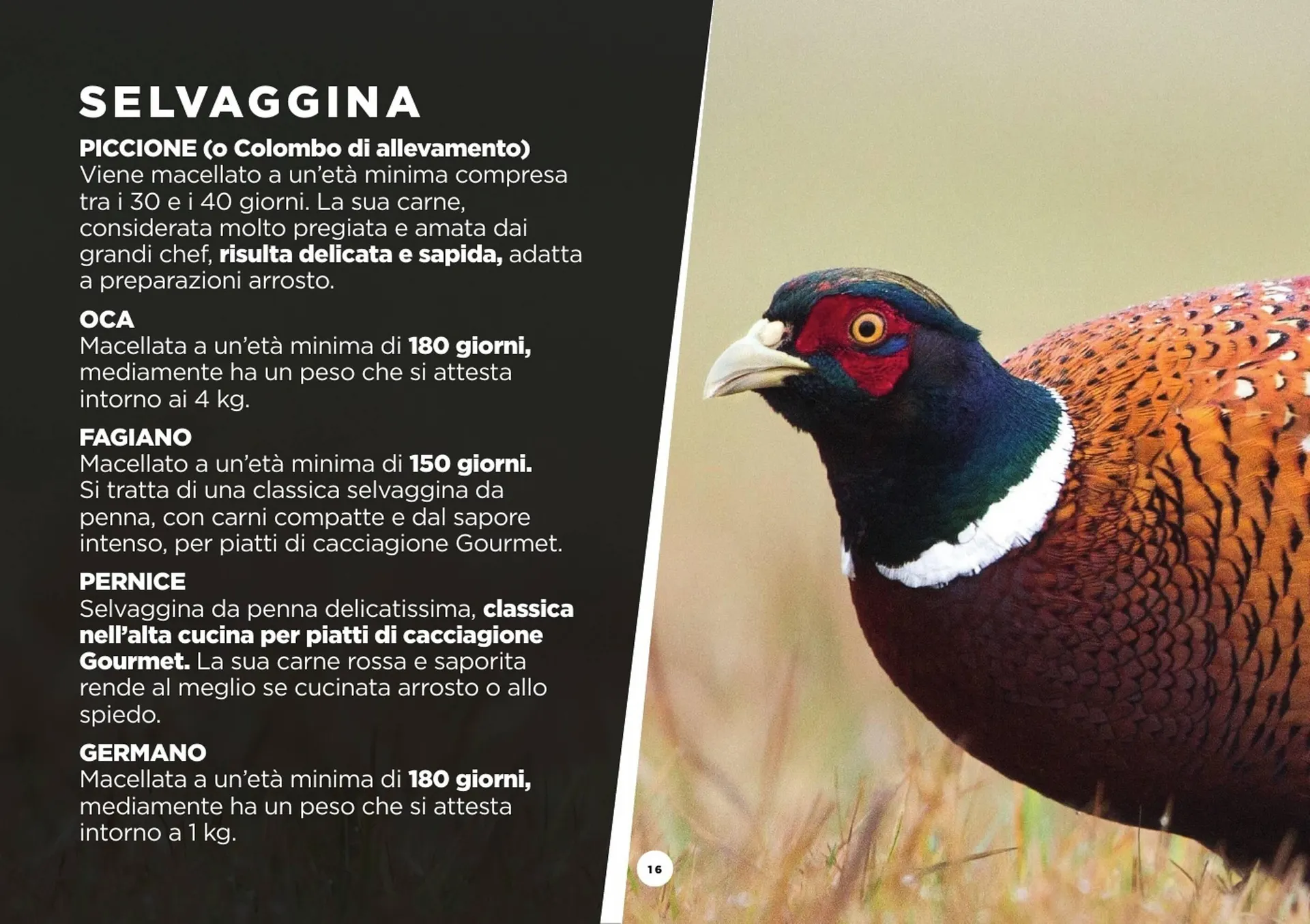 Volantino GrosMarket da 28 agosto a 30 marzo di 2025 - Pagina del volantino 16