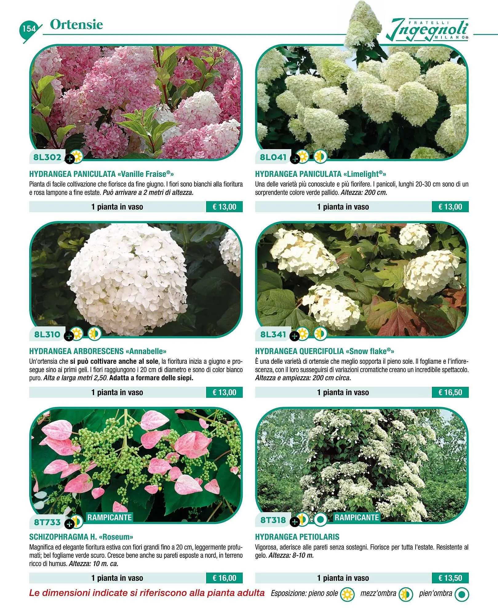 Volantino Ingegnoli da 4 novembre a 31 dicembre di 2025 - Pagina del volantino 156