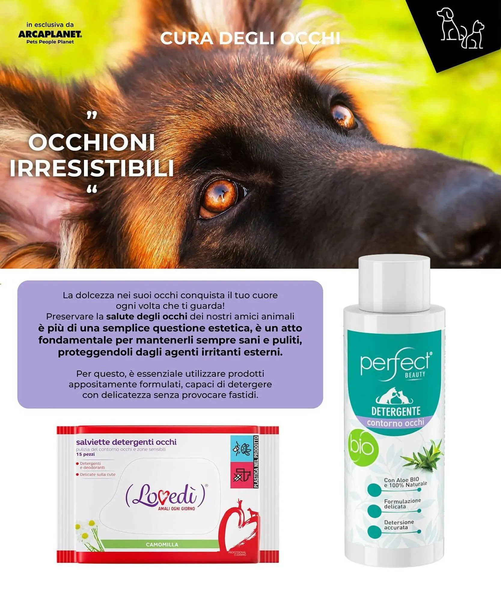 Volantino Arcaplanet da 25 marzo a 7 aprile di 2024 - Pagina del volantino 17
