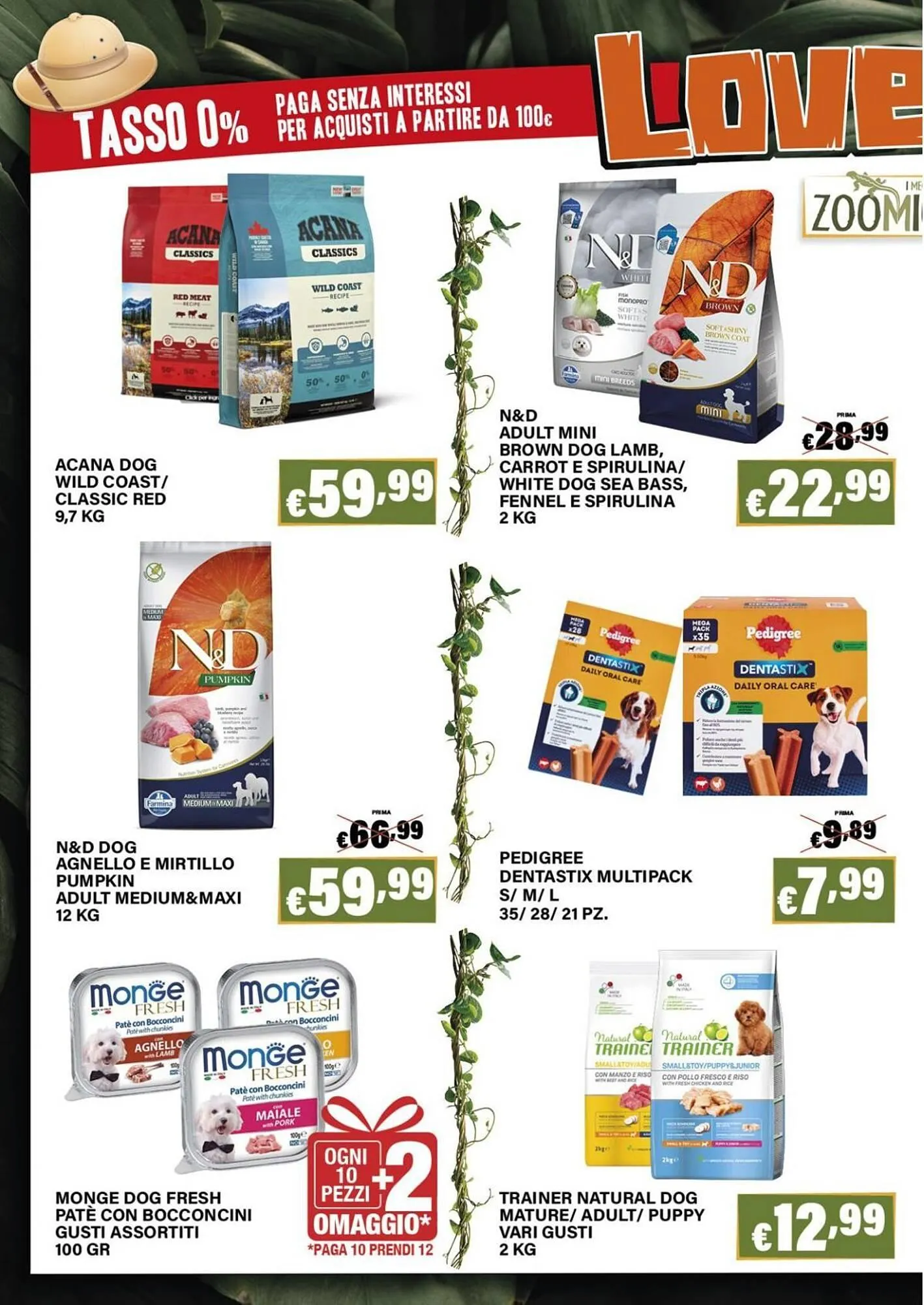 Volantino Zoomiguana da 4 dicembre a 6 gennaio di 2026 - Pagina del volantino 4