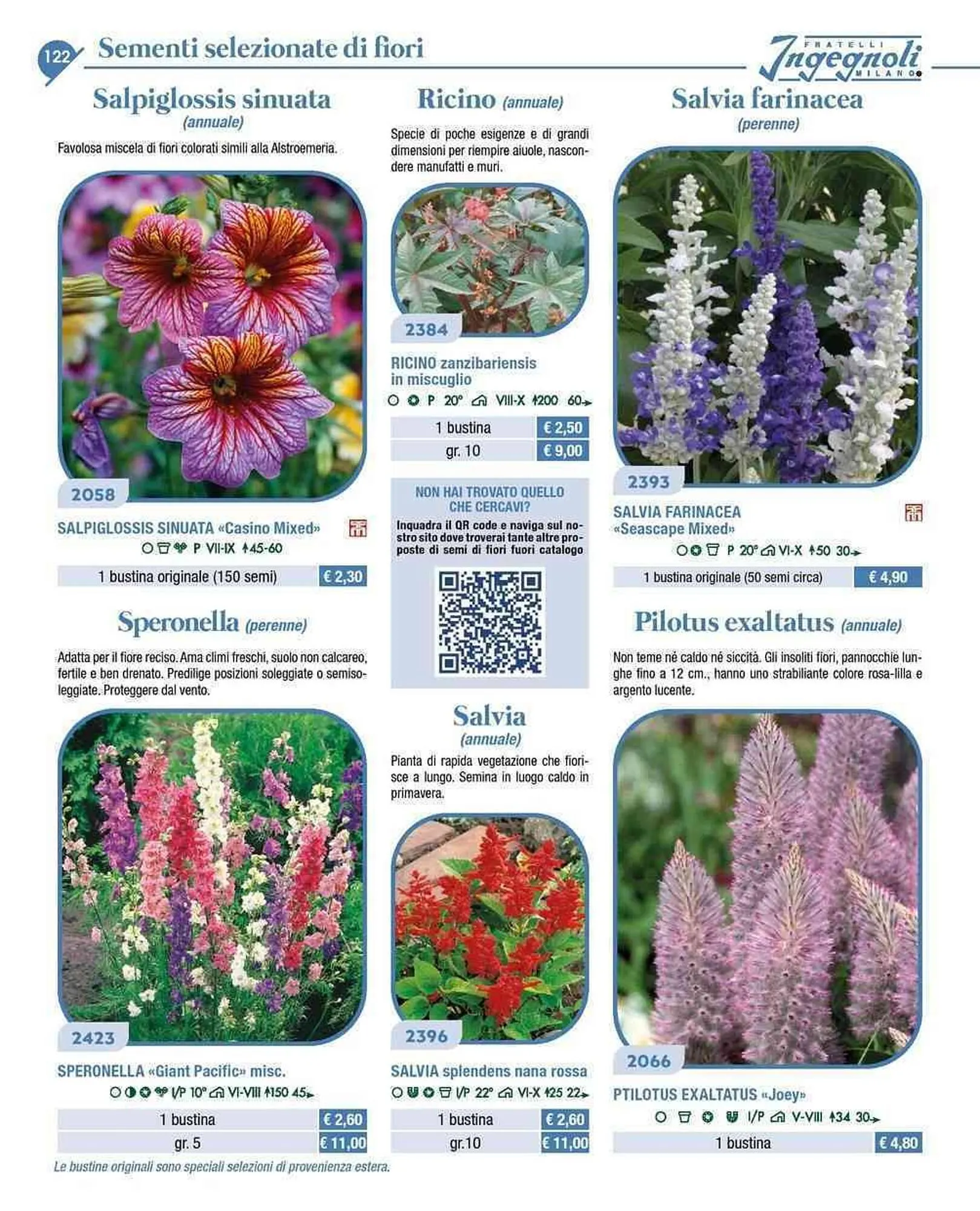 Volantino Ingegnoli da 4 novembre a 31 dicembre di 2025 - Pagina del volantino 19