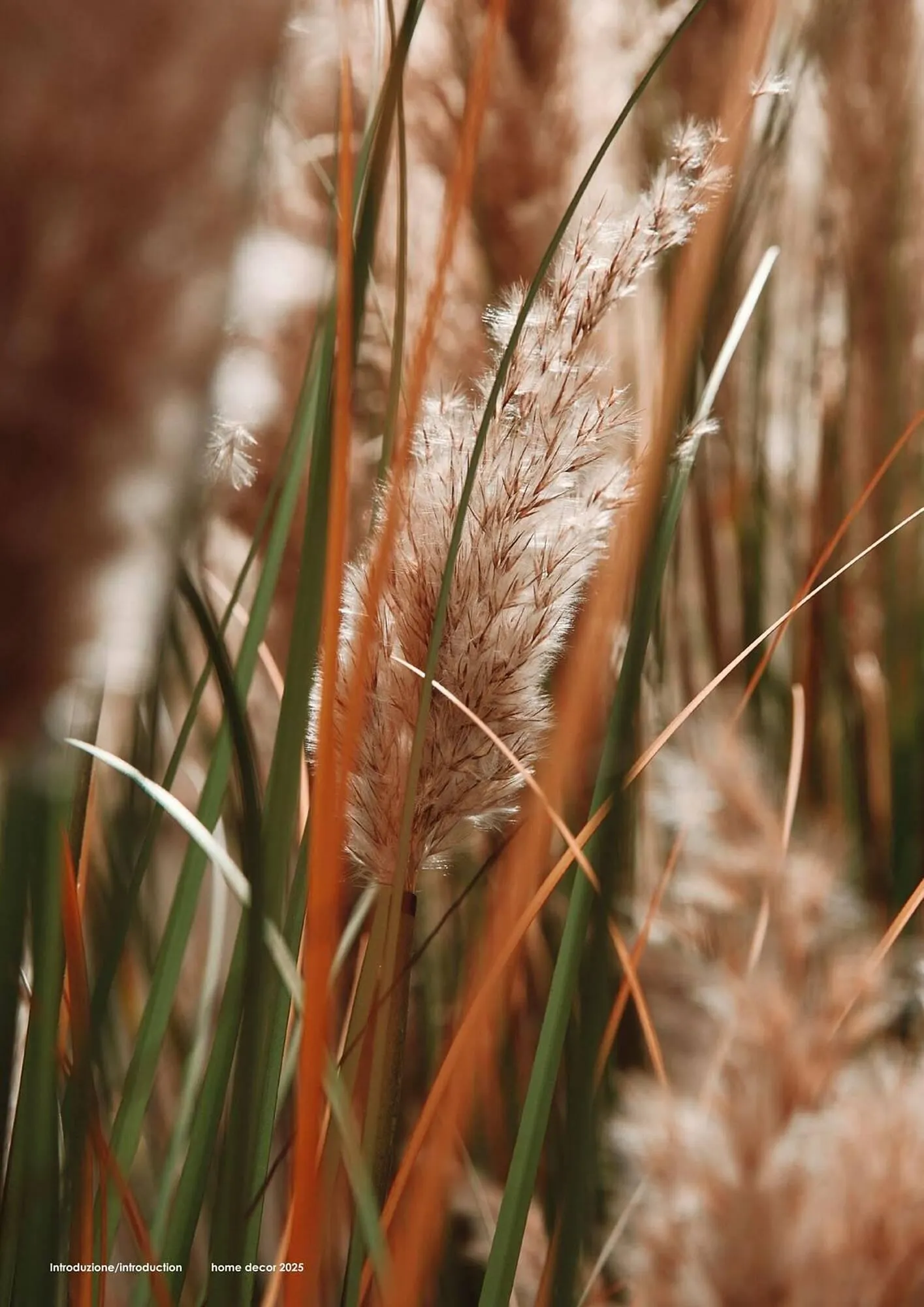 Volantino Bizzotto da 3 febbraio a 31 dicembre di 2025 - Pagina del volantino 78