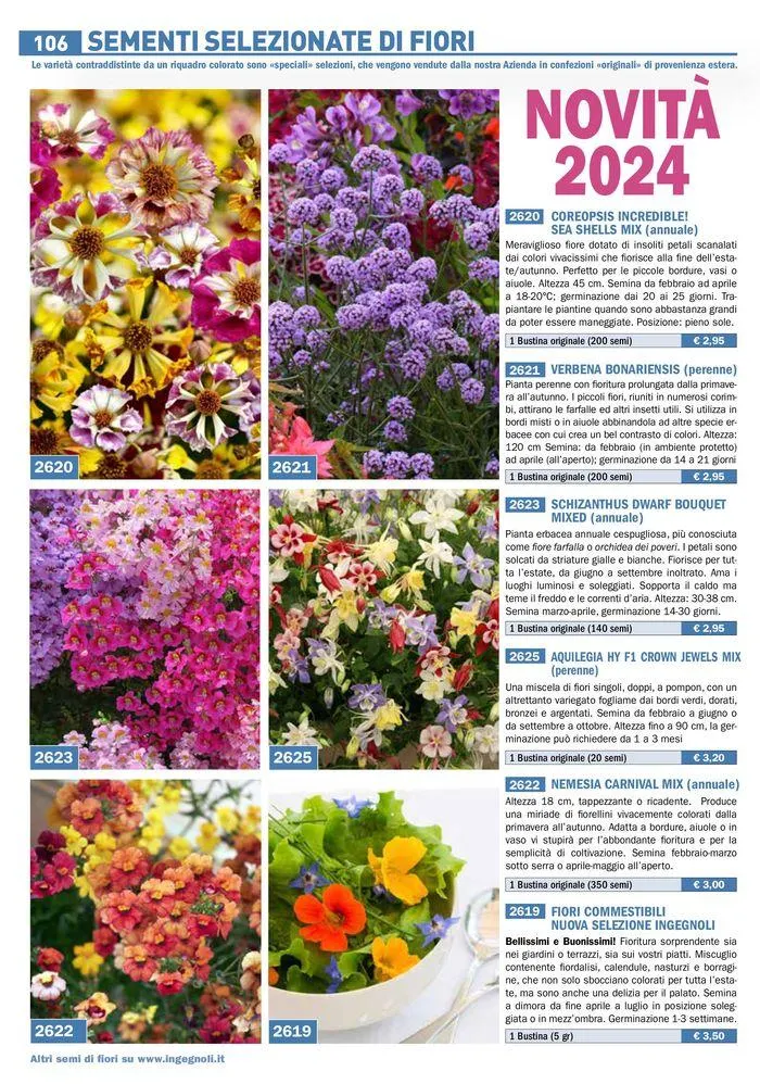Sementi da fiore da 25 marzo a 31 dicembre di 2024 - Pagina del volantino 4