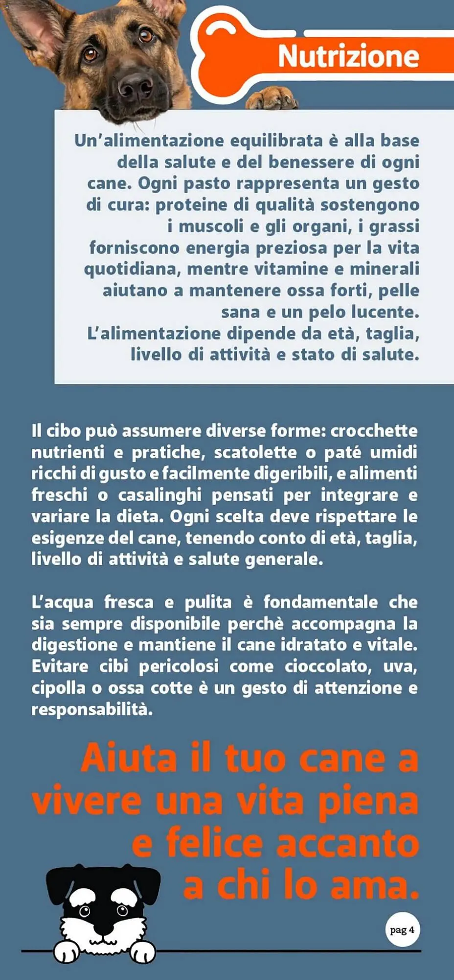 Volantino Supermercati Dok da 24 ottobre a 9 novembre di 2025 - Pagina del volantino 4
