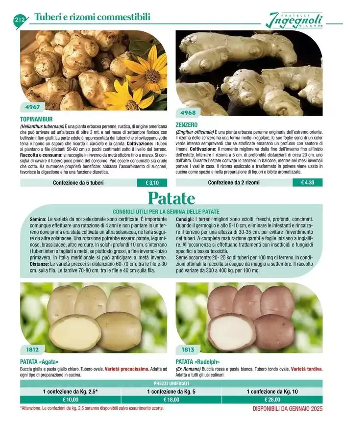 Catalogo guida 2025 da 20 gennaio a 31 dicembre di 2025 - Pagina del volantino 214