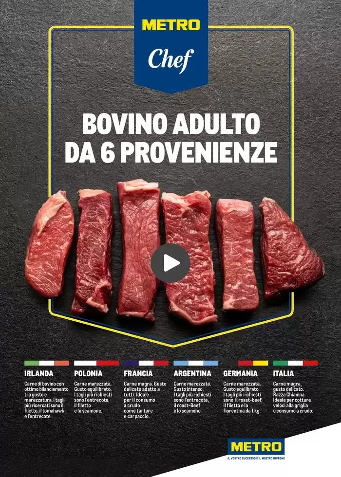 Catalogo Barbecue 2025 da 22 aprile a 14 maggio di 2025 - Pagina del volantino 11