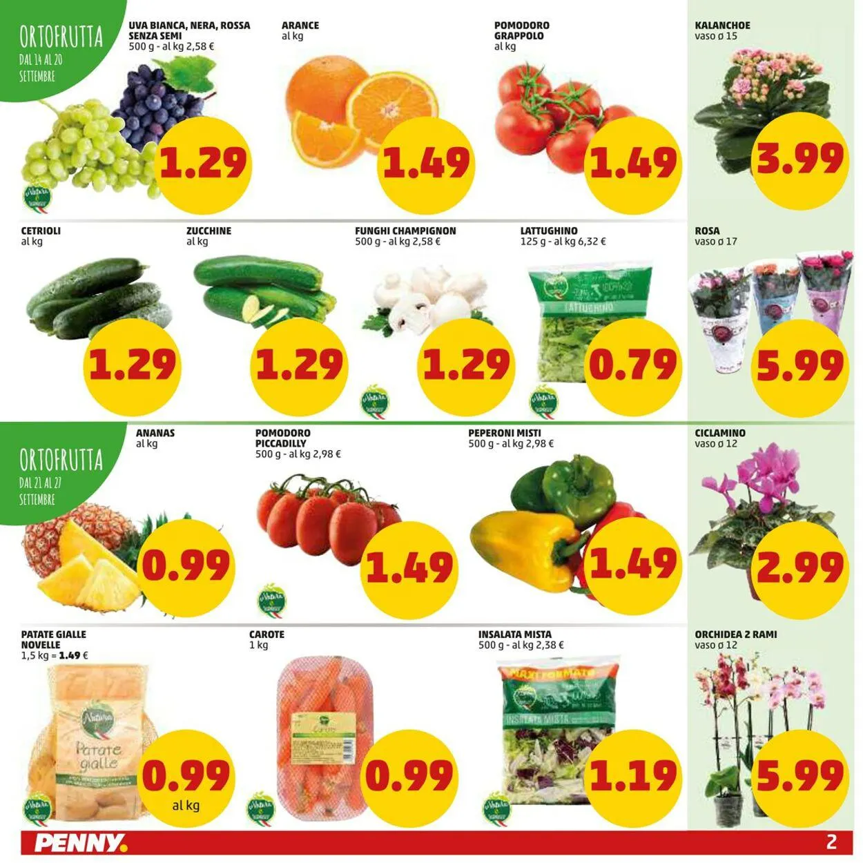 Penny Market Volantino attuale da 14 settembre a 24 settembre di 2023 - Pagina del volantino 2