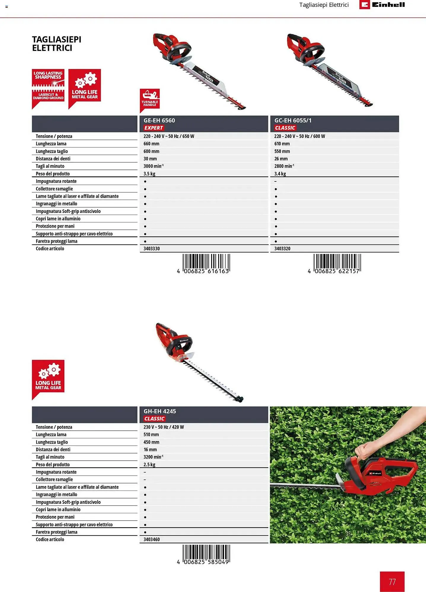 Volantino Einhell da 17 marzo a 31 dicembre di 2026 - Pagina del volantino 79