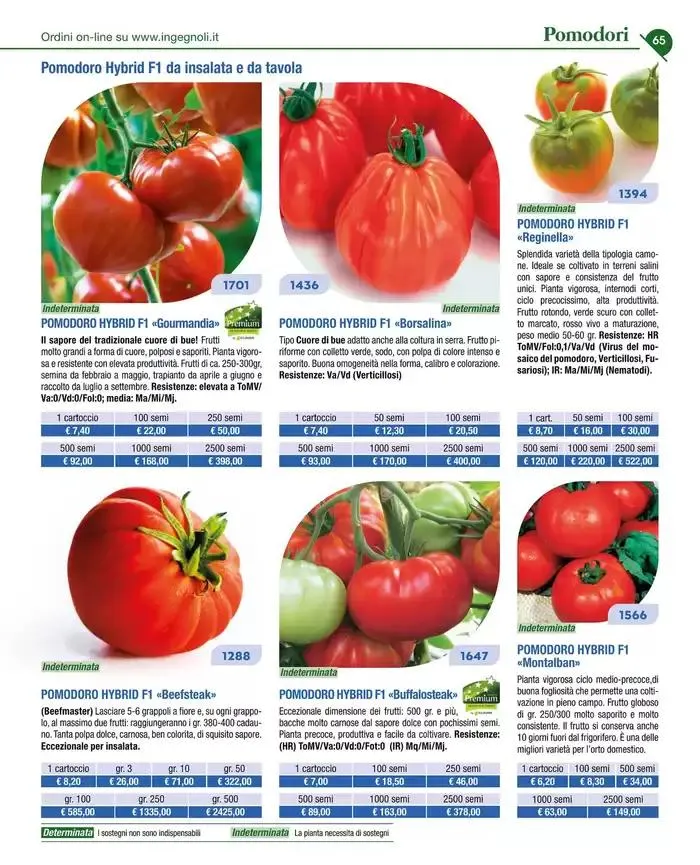 Catalogo guida 2025 da 20 gennaio a 31 dicembre di 2025 - Pagina del volantino 67