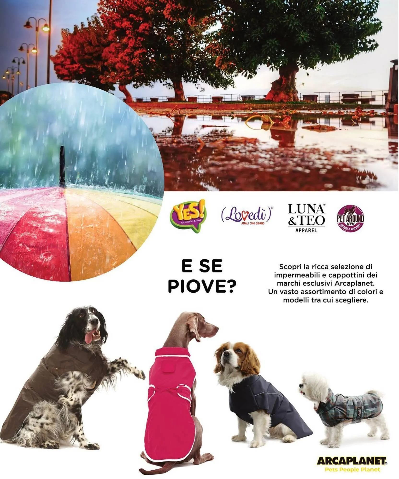 Volantino Arcaplanet da 31 marzo a 20 aprile di 2025 - Pagina del volantino 37