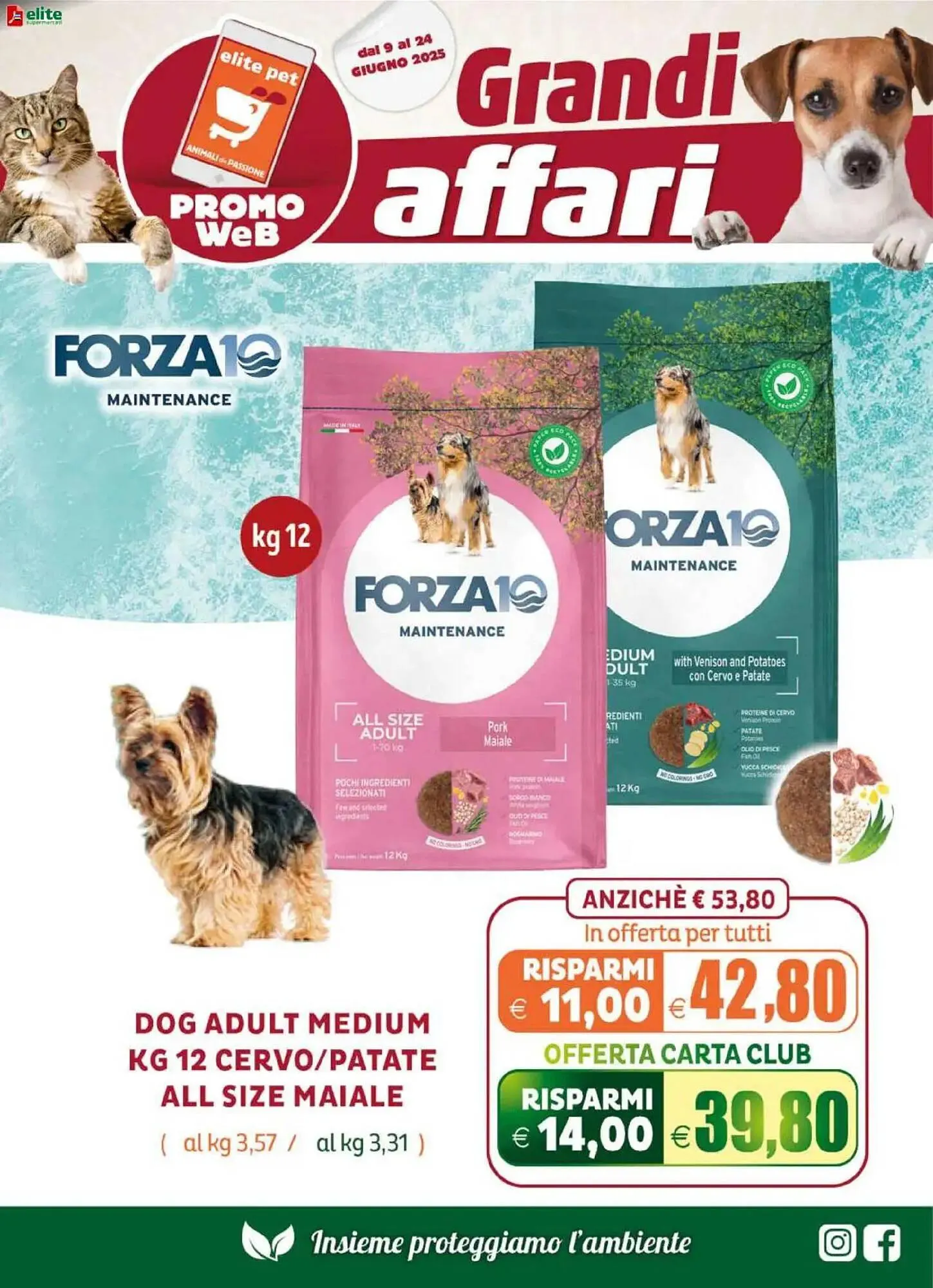 Volantino Elite Pet da 9 giugno a 24 giugno di 2025 - Pagina del volantino 19