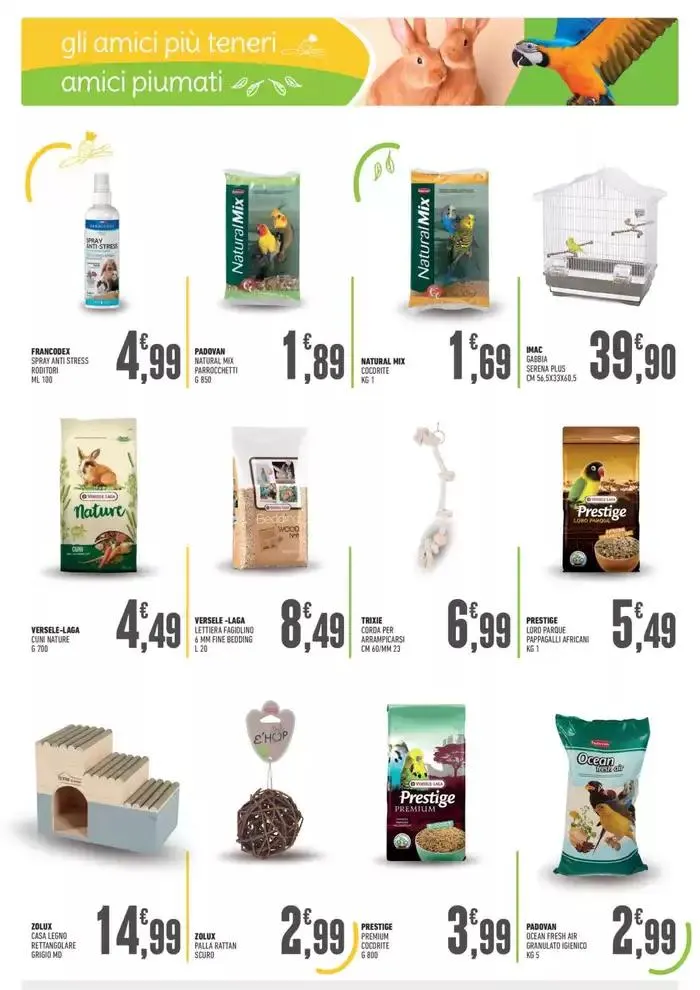 Solo per animali da 29 ottobre a 19 novembre di 2024 - Pagina del volantino 6