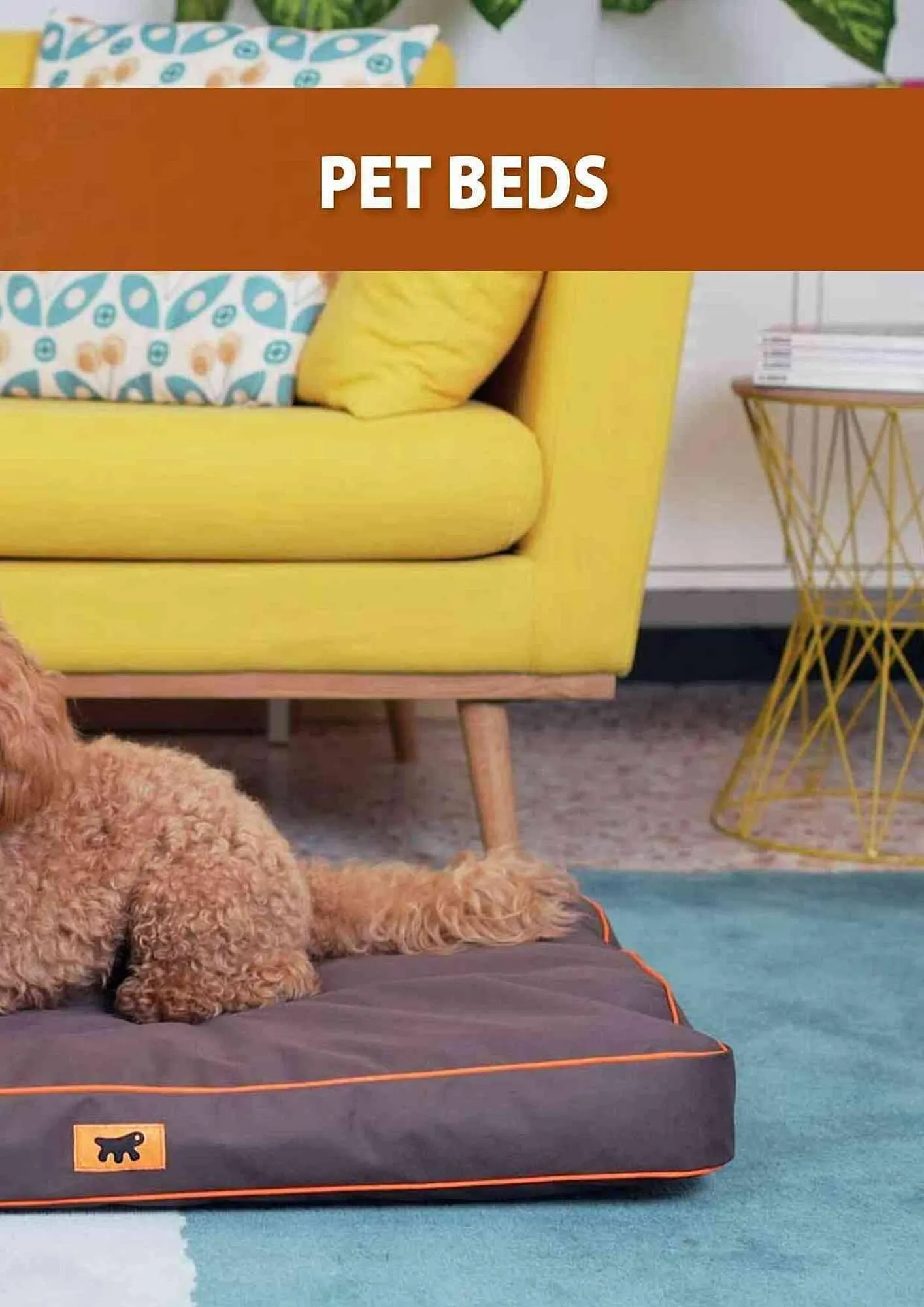 Volantino Ferplast da 25 aprile a 31 gennaio di 2025 - Pagina del volantino 225