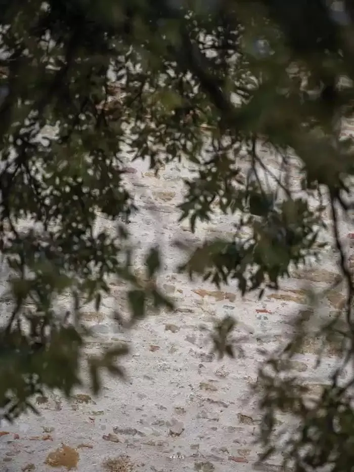 Fazzini collezione da 21 ottobre a 31 dicembre di 2025 - Pagina del volantino 48