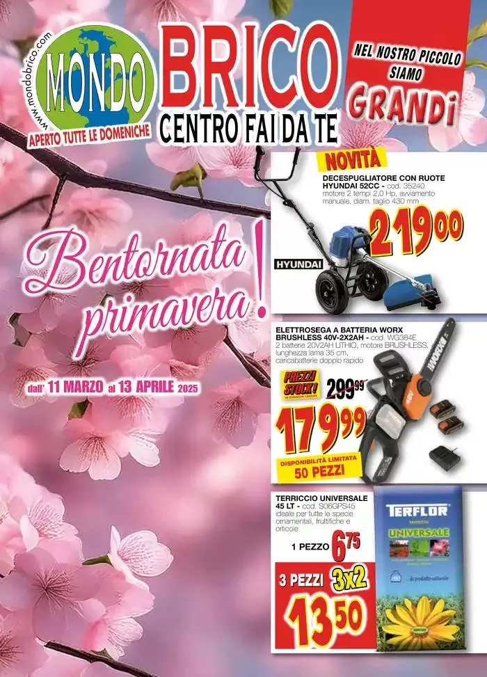 EL NOSTRO PICCOLO SIAMO GRANDI - 1