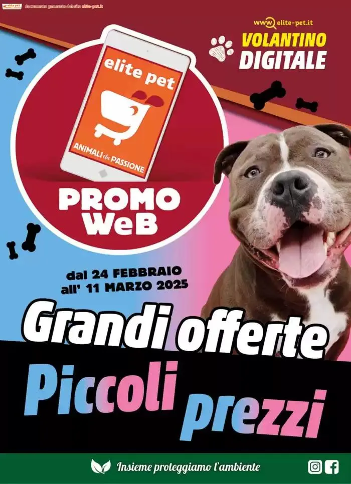 Grandi offerte piccoli prezzi  - 1