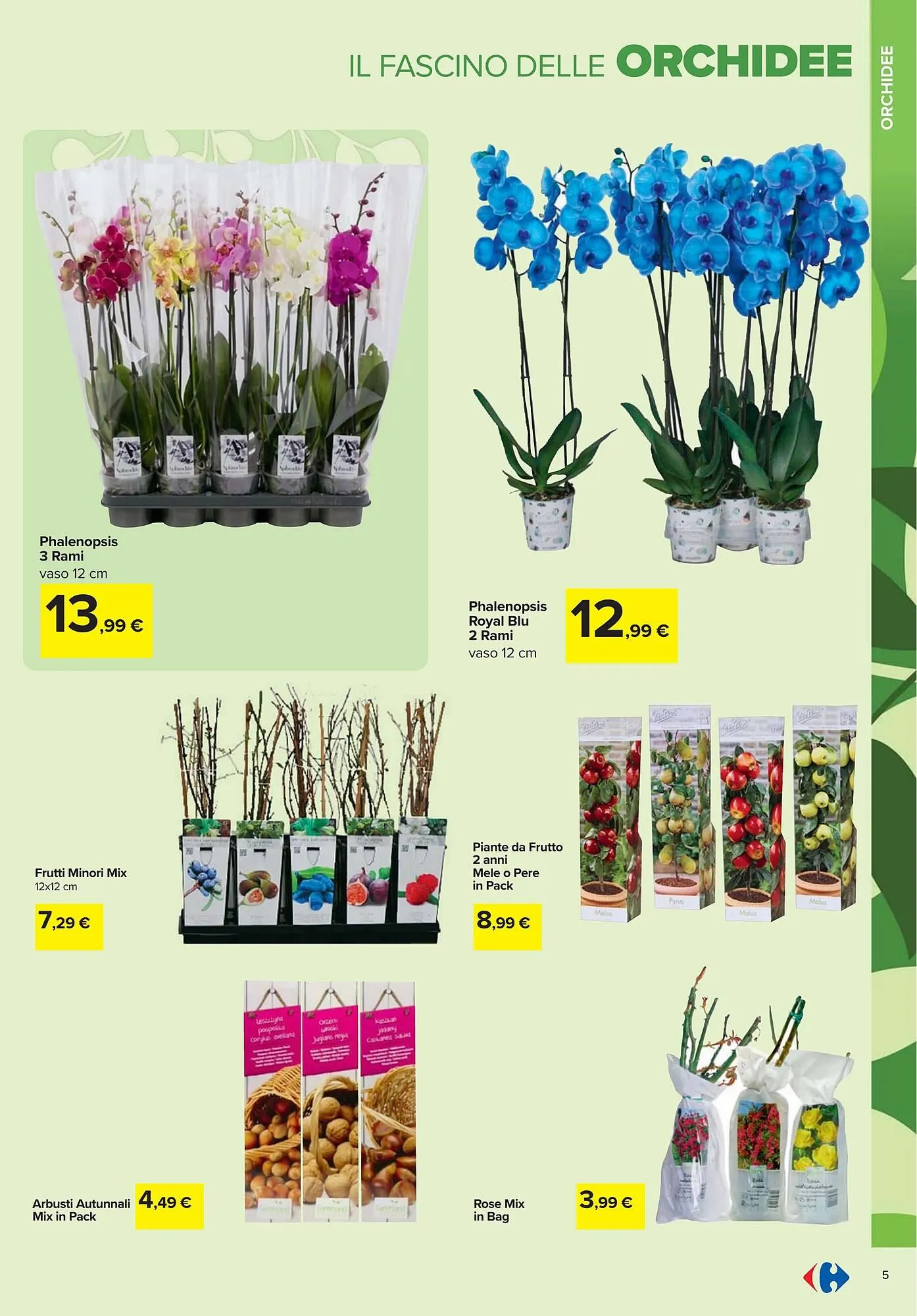 Volantino Carrefour da 19 febbraio a 6 aprile di 2026 - Pagina del volantino 5