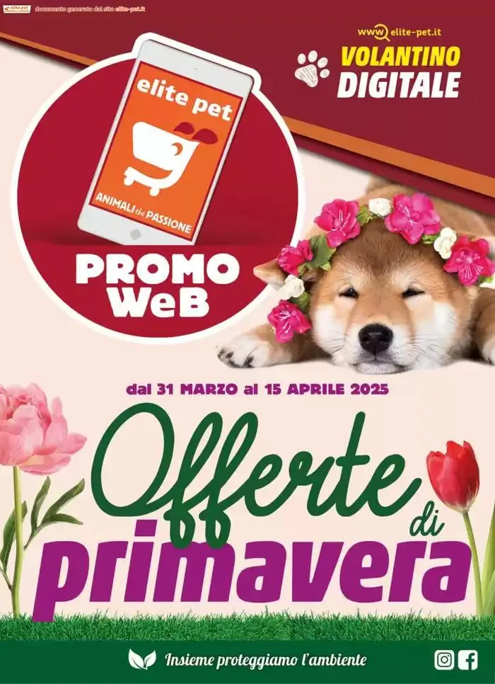 Offerte di Primavera  - 1