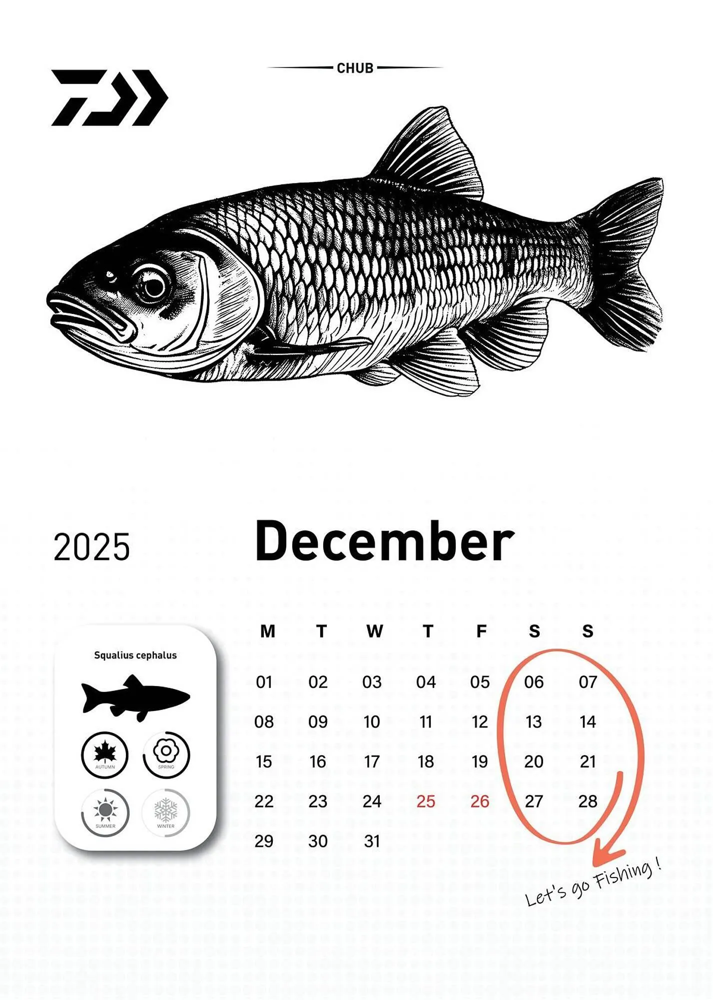 Volantino Daiwa da 6 dicembre a 31 dicembre di 2025 - Pagina del volantino 13