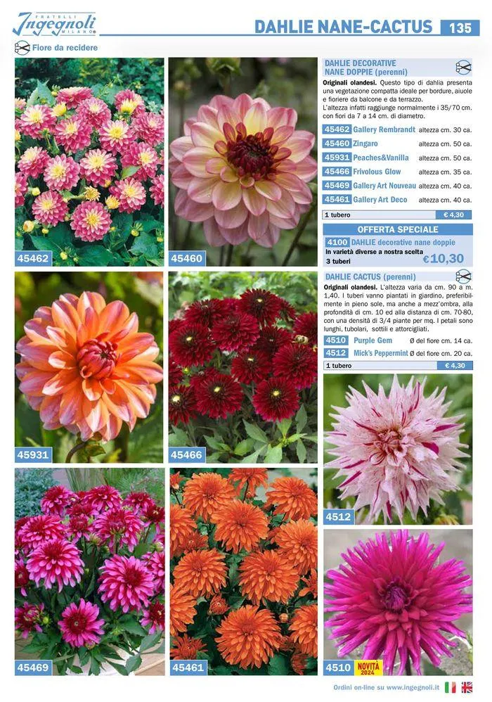 Bulbi Tuberi Rizomi da fiore da 25 marzo a 31 dicembre di 2024 - Pagina del volantino 9