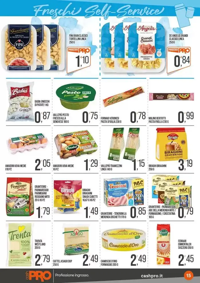 Professione ingrosso. da 26 dicembre a 12 gennaio di 2025 - Pagina del volantino 15