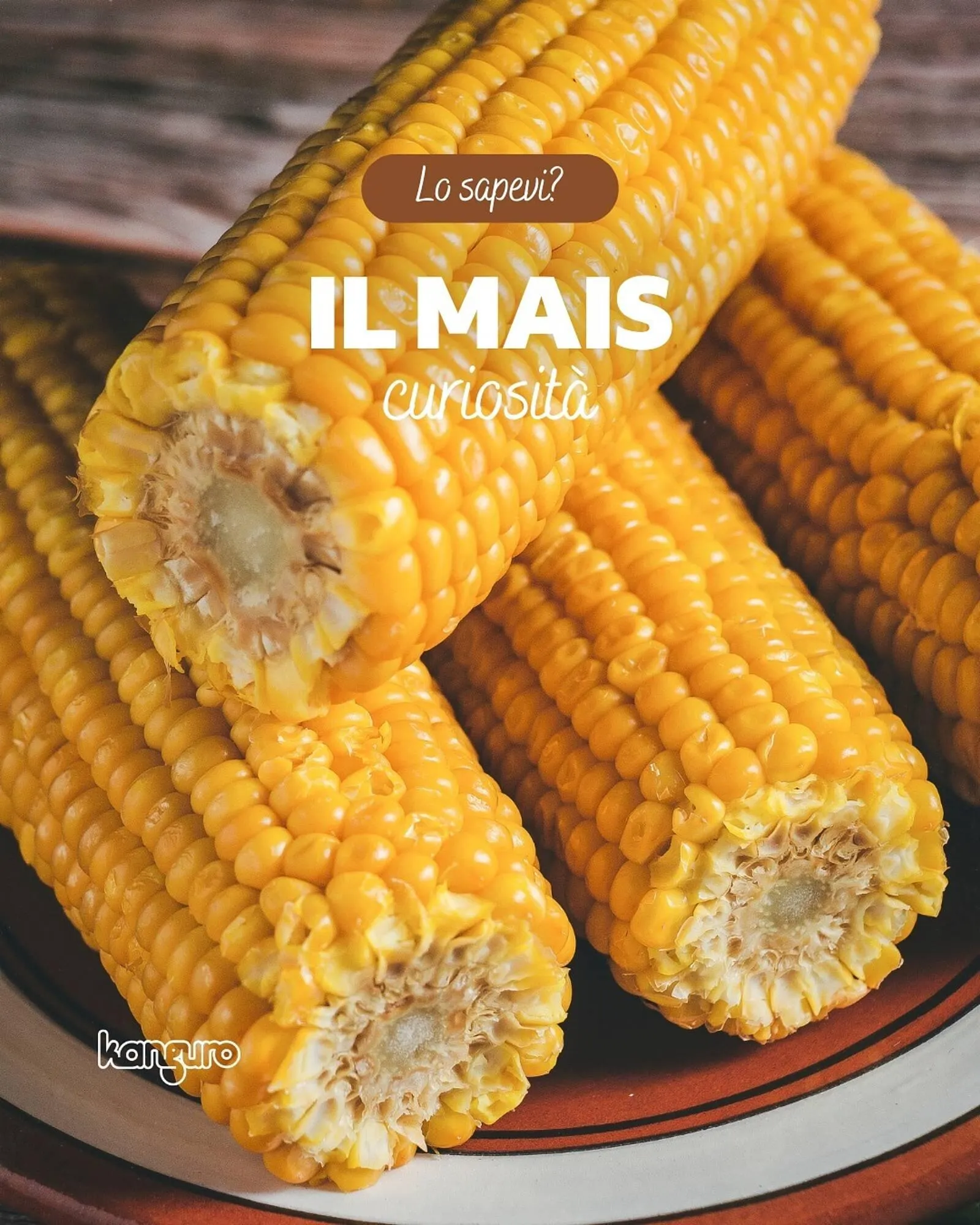 Volantino Kanguro - 1