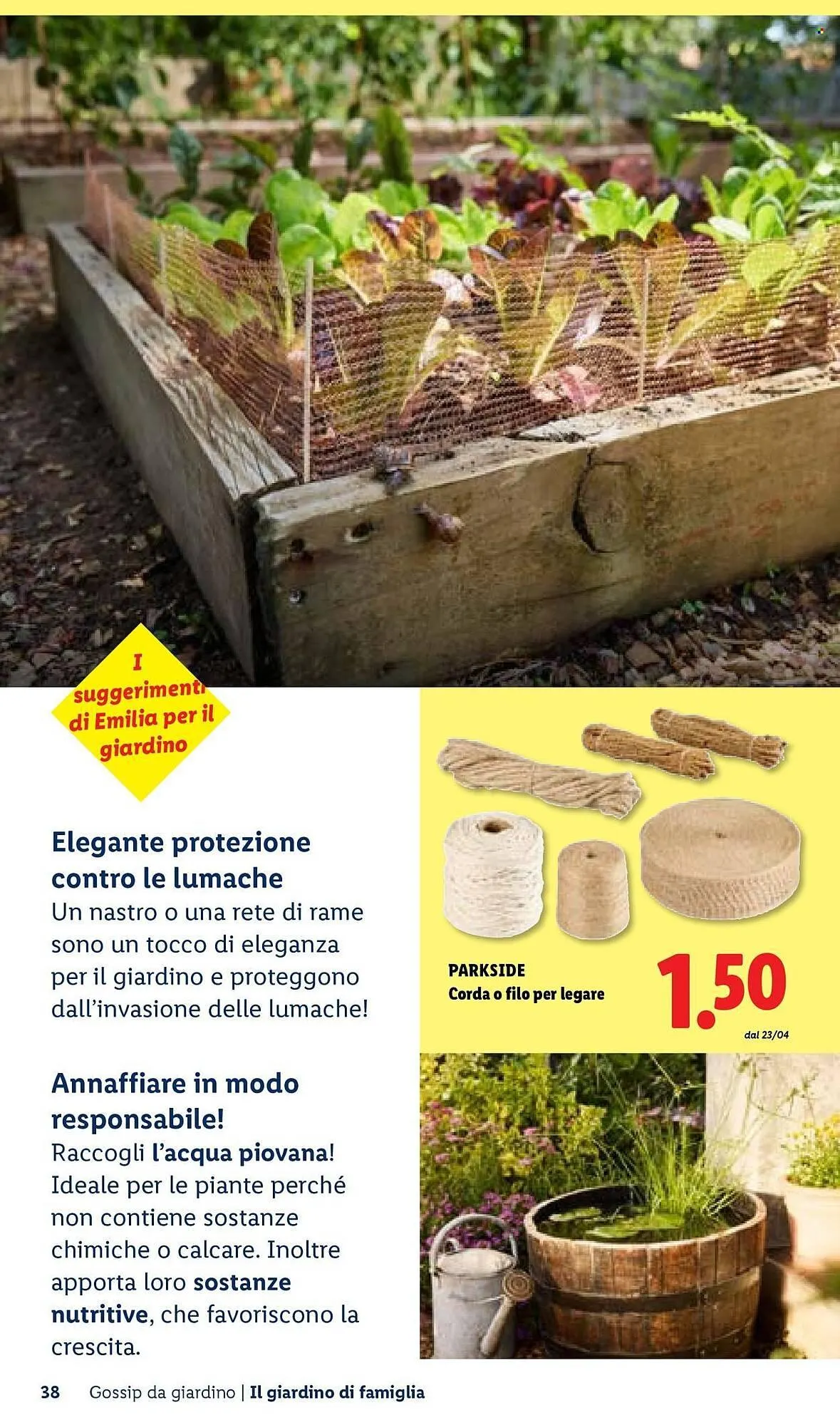 Volantino Lidl da 22 aprile a 30 aprile di 2026 - Pagina del volantino 38