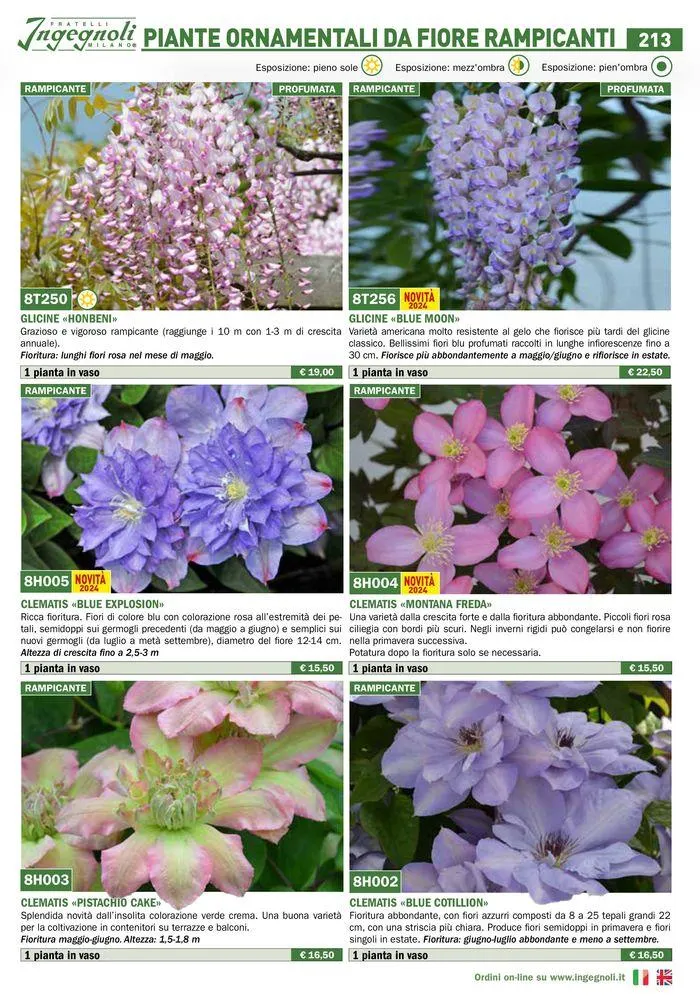 Catalogo guida 2024 da 25 marzo a 31 dicembre di 2024 - Pagina del volantino 215