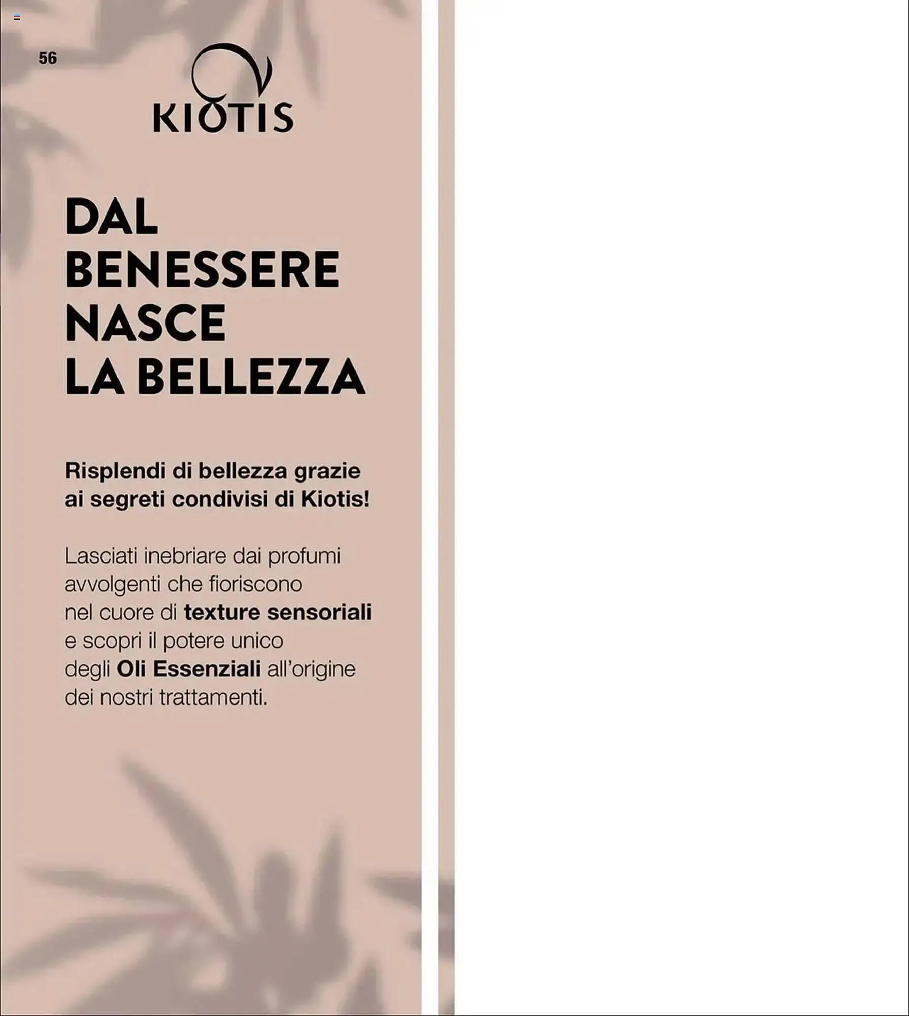 Volantino Stanhome da 1 aprile a 18 aprile di 2025 - Pagina del volantino 56