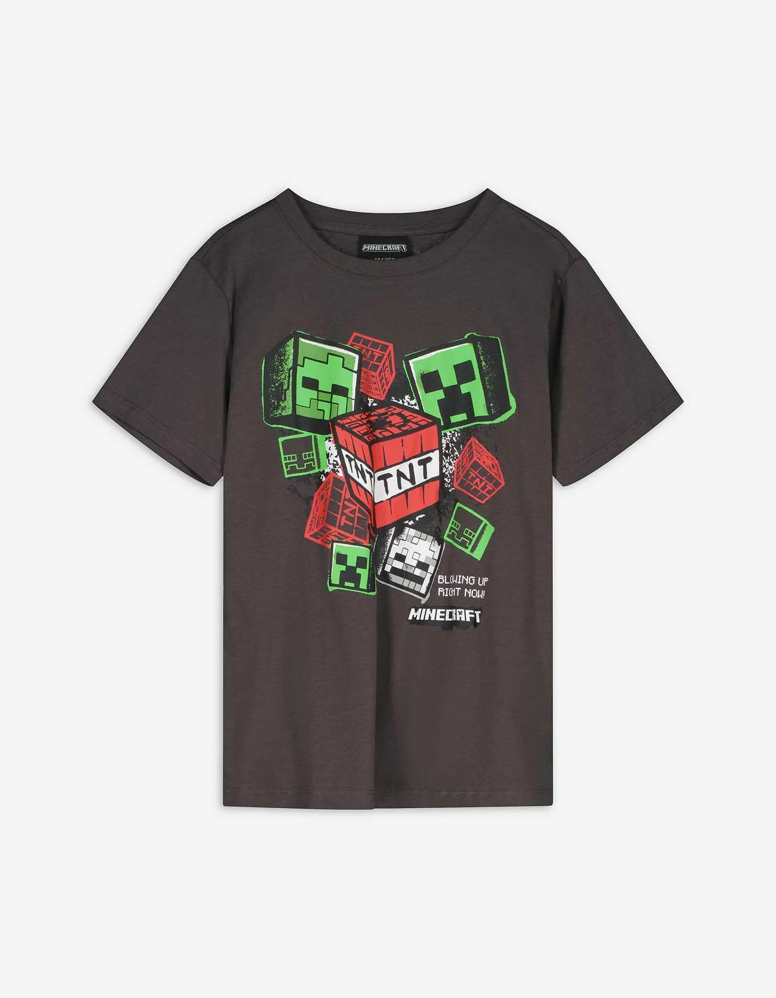 T-shirt - Minecraft - grigio scuro