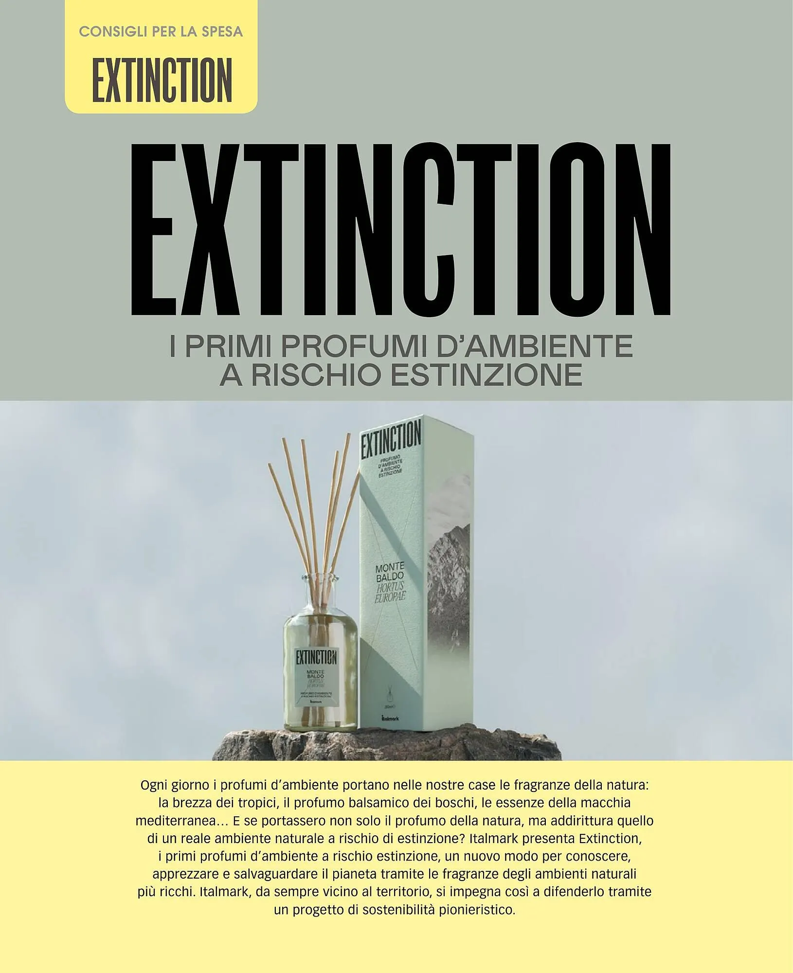 Volantino Italmark da 28 novembre a 31 dicembre di 2023 - Pagina del volantino 21