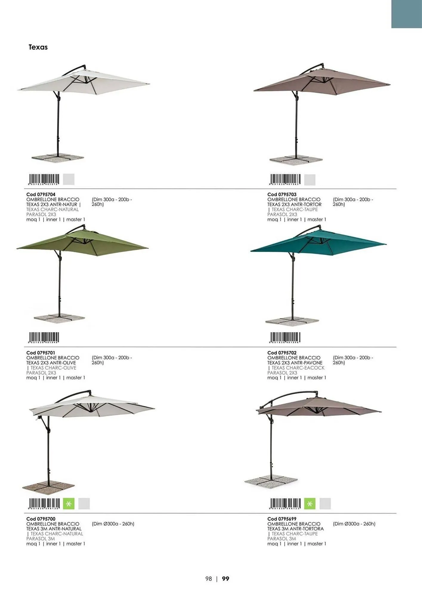 Volantino Bizzotto da 21 gennaio a 31 dicembre di 2025 - Pagina del volantino 100