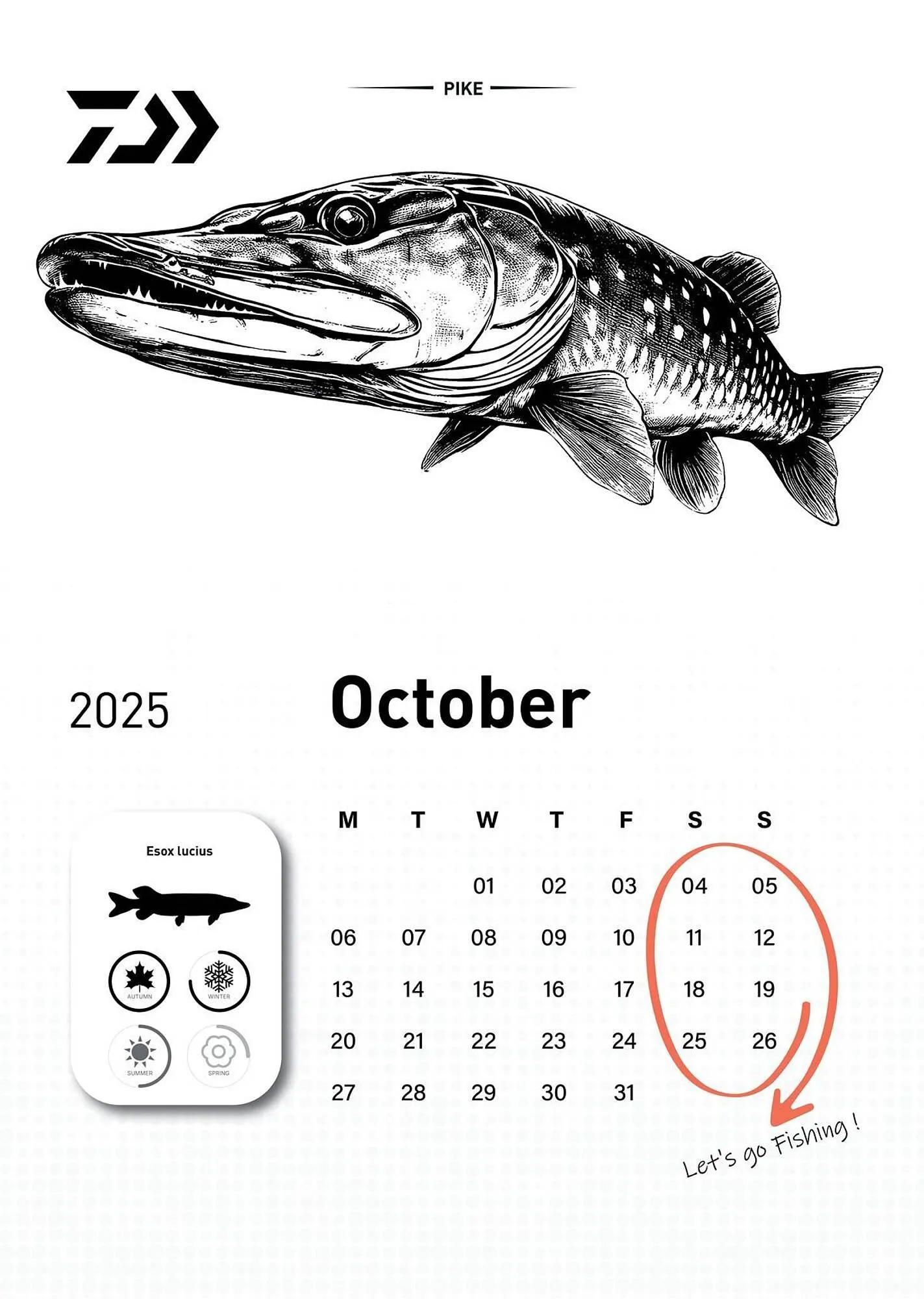 Volantino Daiwa da 6 dicembre a 31 dicembre di 2025 - Pagina del volantino 11