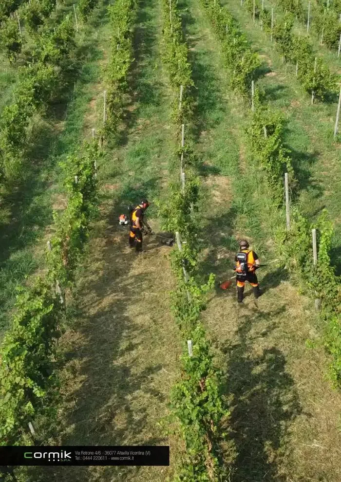 Catalogo master prodotti 2025 da 17 febbraio a 31 dicembre di 2025 - Pagina del volantino 152