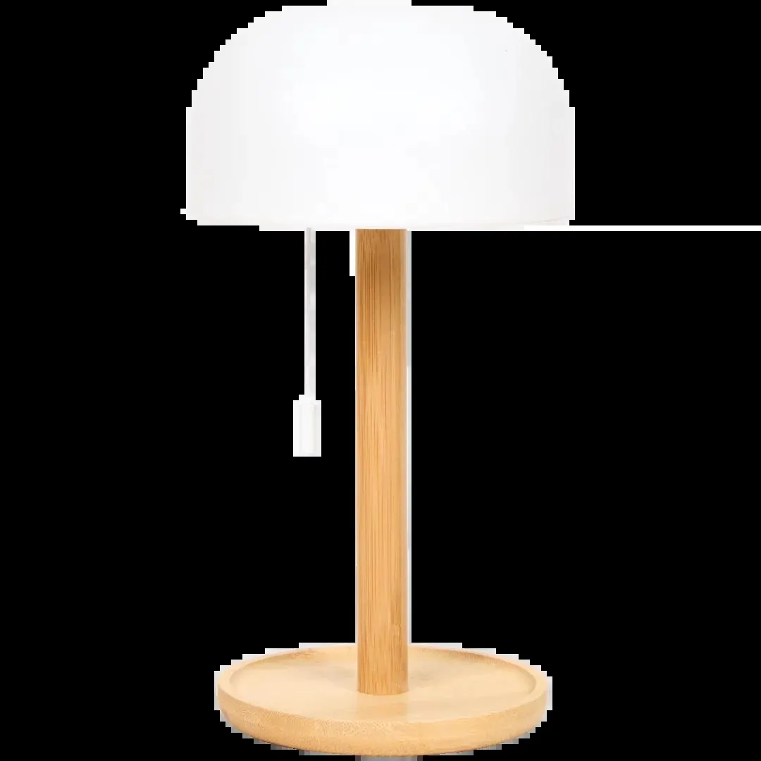 Luce LED ricaricabile