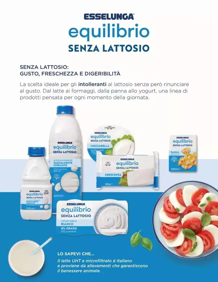 Equilibrio da 7 maggio a 21 maggio di 2025 - Pagina del volantino 8