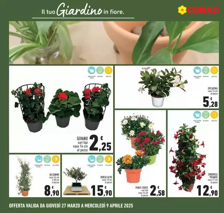 Sconti fino al 50% da 27 marzo a 9 aprile di 2025 - Pagina del volantino 22