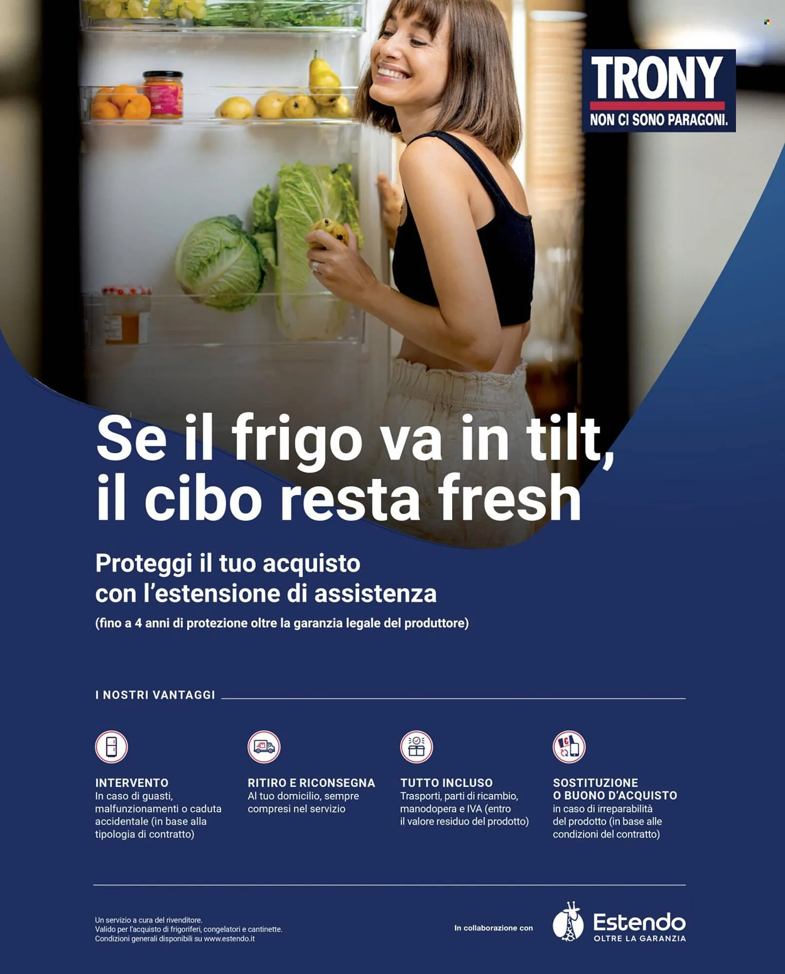 Volantino Trony da 9 gennaio a 4 febbraio di 2026 - Pagina del volantino 13