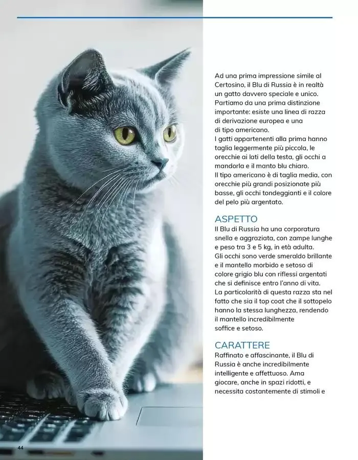 Sapori Italiani da 12 marzo a 31 marzo di 2025 - Pagina del volantino 44