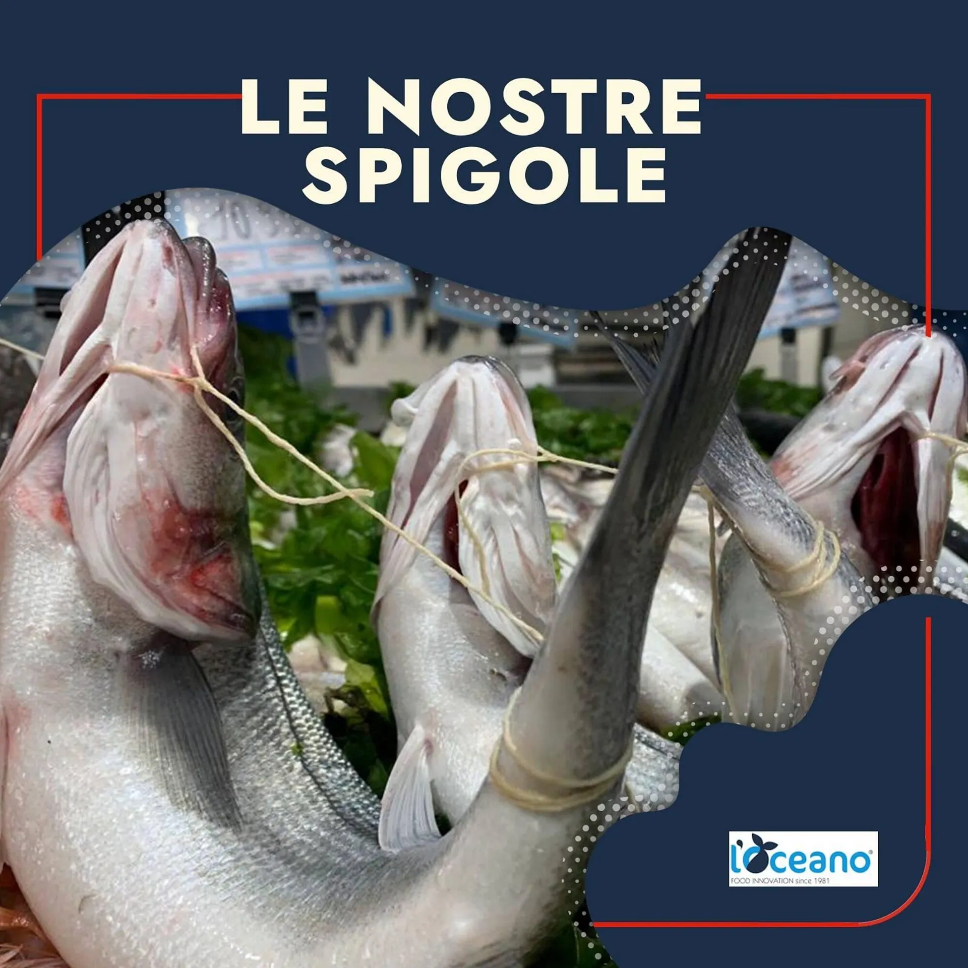 Volantino Oceano Surgelati - 1