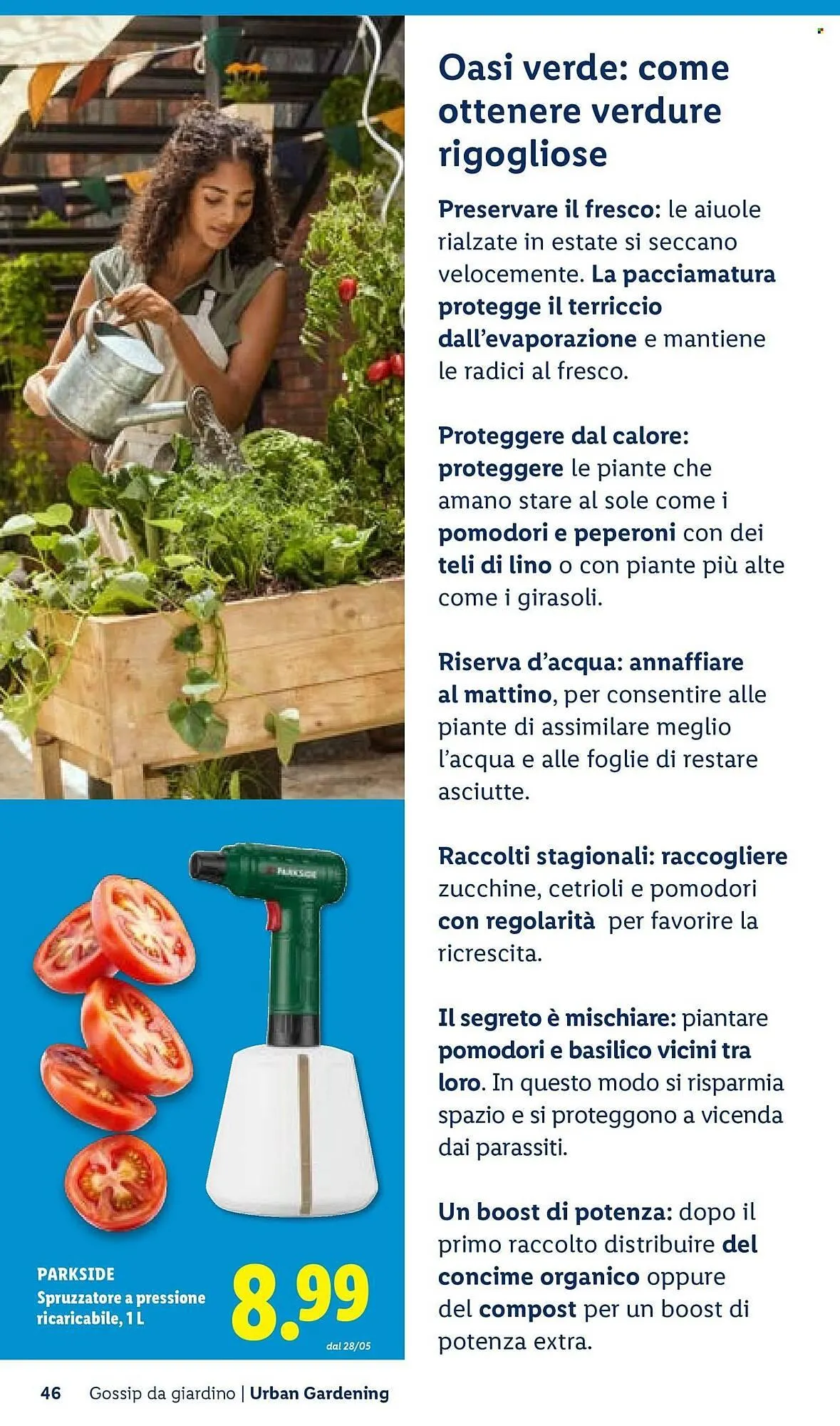 Volantino Lidl da 22 aprile a 30 aprile di 2026 - Pagina del volantino 46