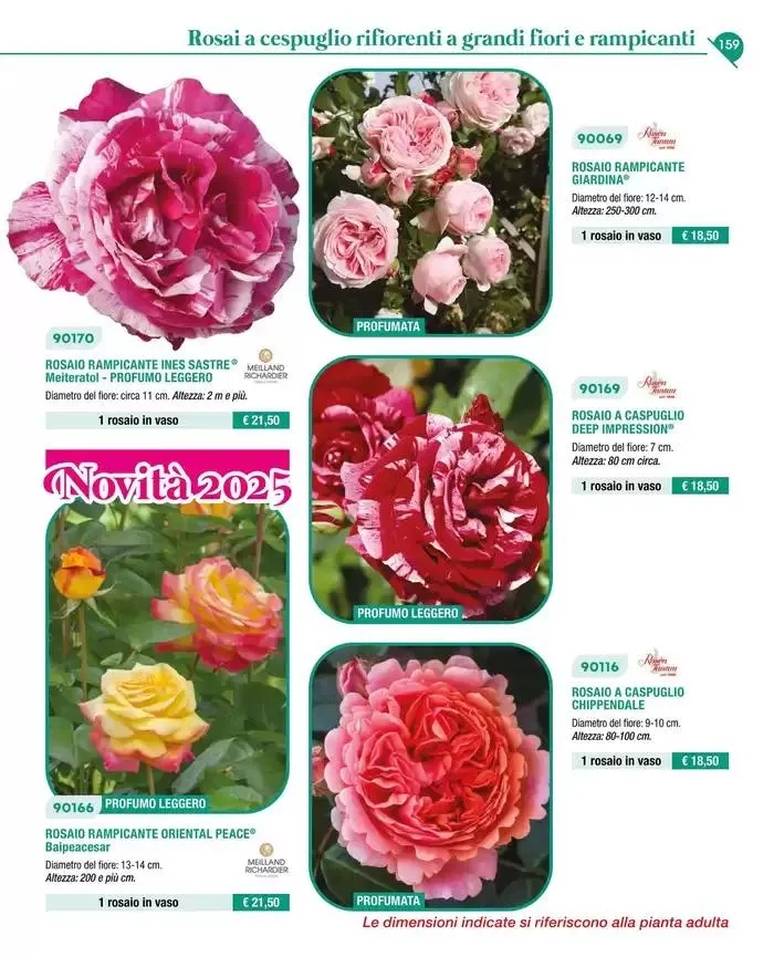 Catalogo guida 2025 da 20 gennaio a 31 dicembre di 2025 - Pagina del volantino 161