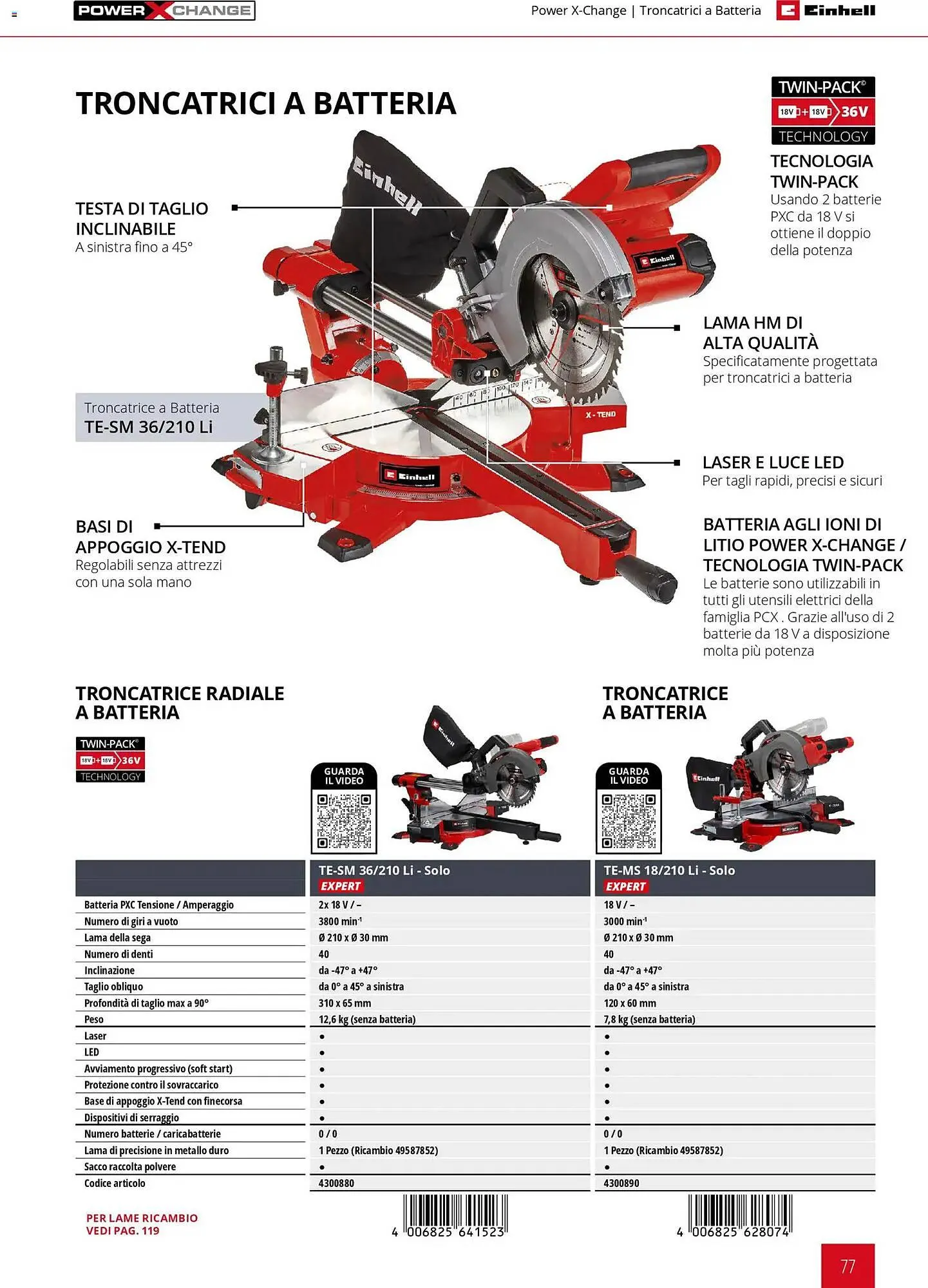 Volantino Einhell da 17 marzo a 31 dicembre di 2026 - Pagina del volantino 79